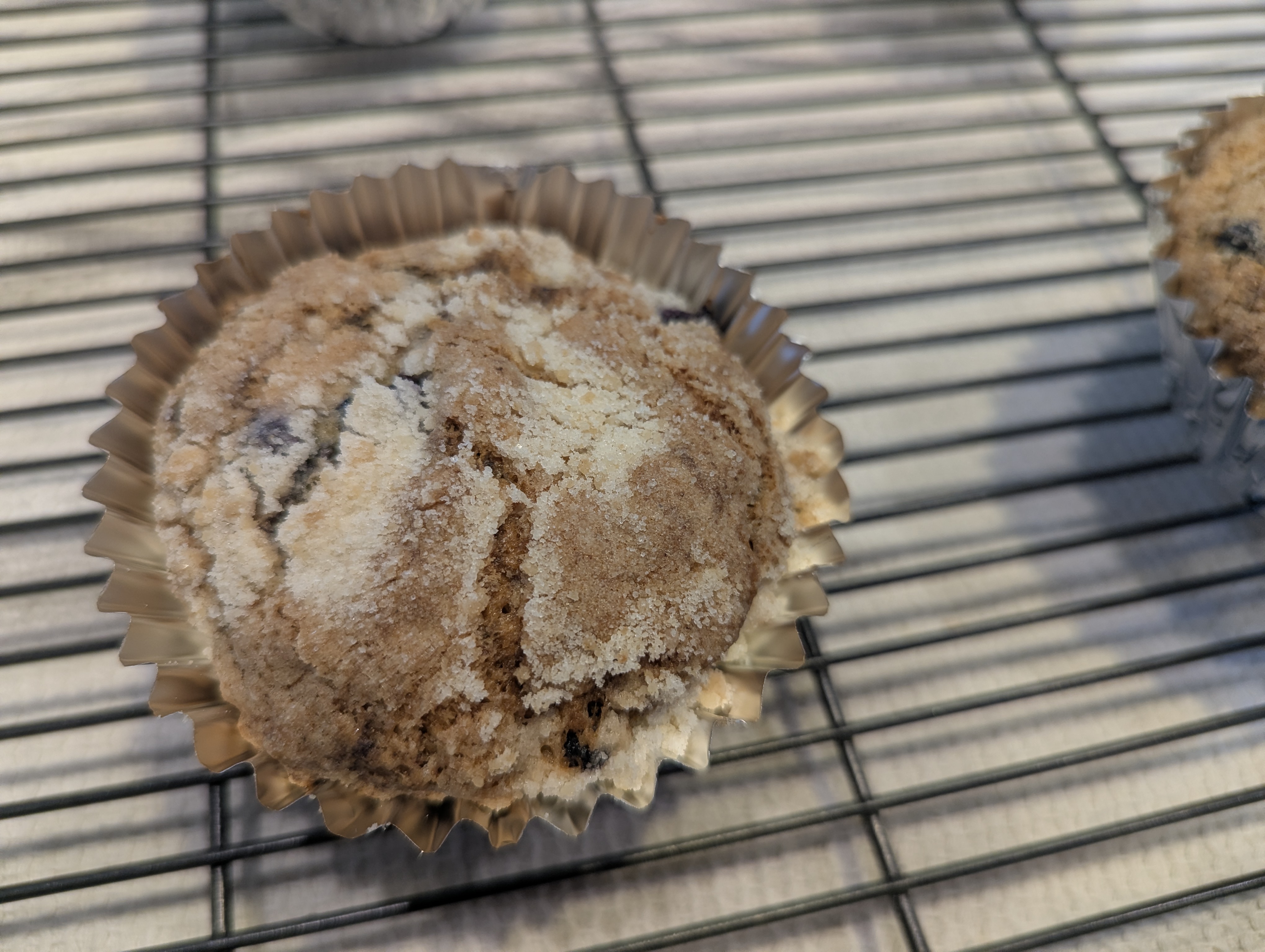 Sourdough Blueberry Muffins